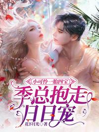 小可怜一胎四宝，季总抱走日日宠